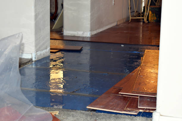 Professional Basement Water Removal technician working in Frankfort, MI