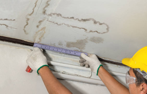 Reliable Basement Water Removal contractor in Frankfort, MI by Water Damage Irwin